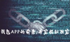USDT钱包APP的前景：专家揭